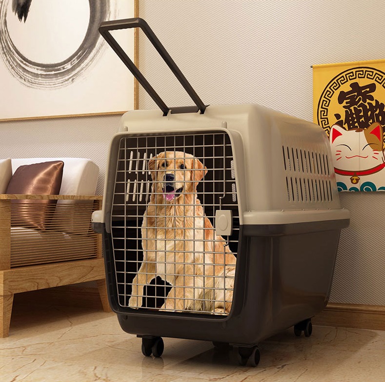 Lồng hàng không cho pet dưới 60kg, lồng vận chuyển chó mèo size khổng lồ size 81cm và 99cm