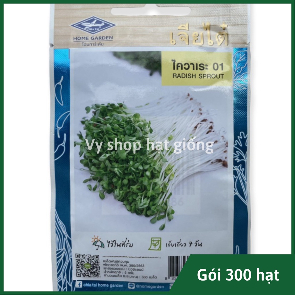 Hạt giống rau mầm củ cải trắng Thái Lan gói 300 hạt