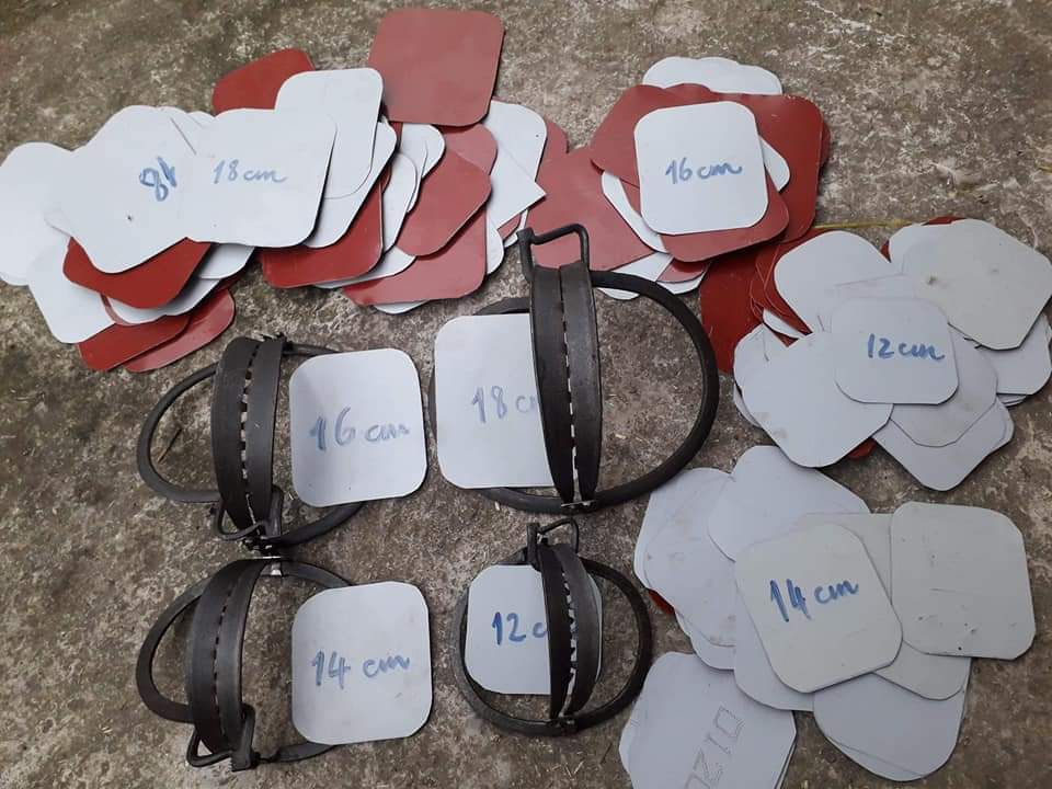 Combo 10 Cạm bẫy chuột, bẫy thú 16cm - Tặng kèm bàn đạp