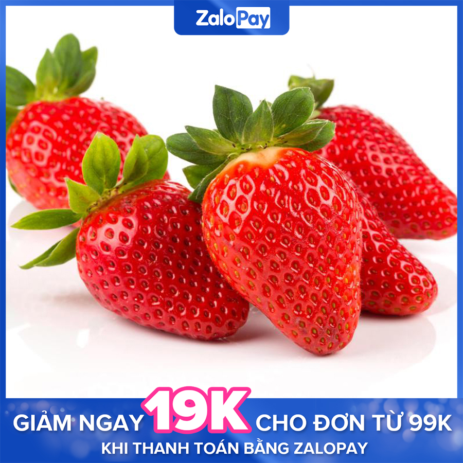 Gói 100 Hạt giống Dâu tây quả To Việt Nam (tặng hướng dẫn trồng ) - Cây trồng Long Vũ