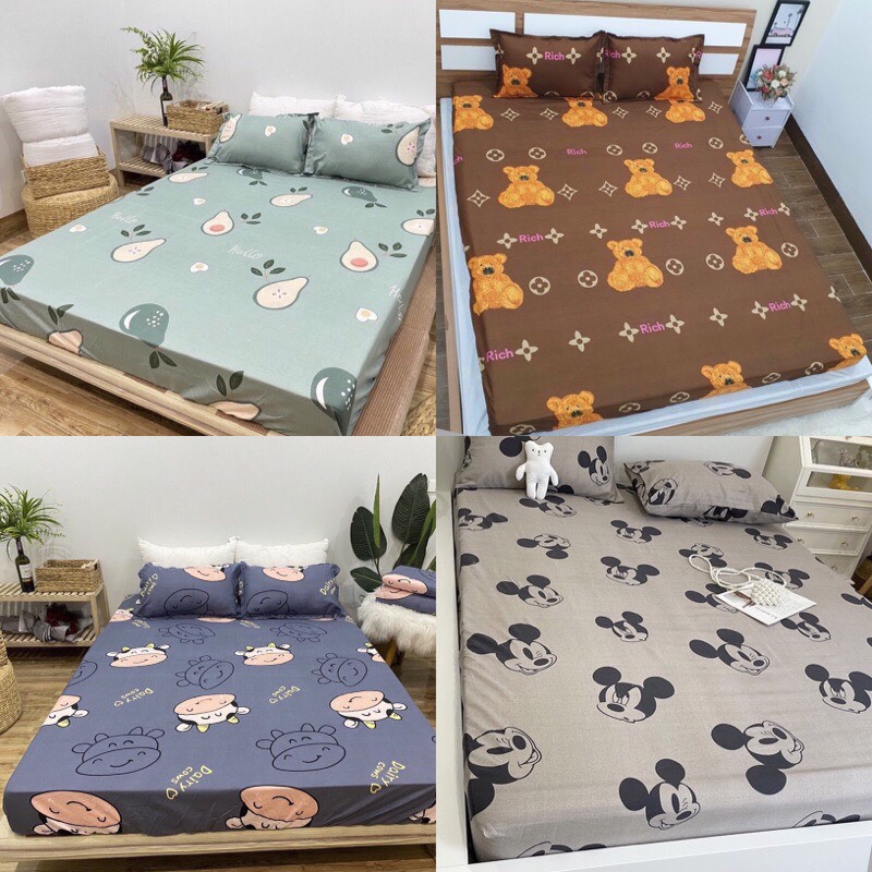 Ga trải giường m6/m8 drap giường poly nhiều mẫu lựa chọn