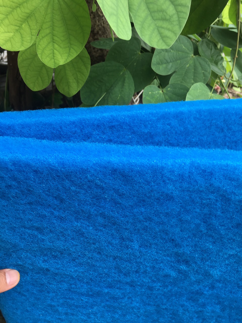 Bông lọc xanh,lọc trong,sạch nước cho bể cá cảnh,cá koi khổ 30x90x2cm.
