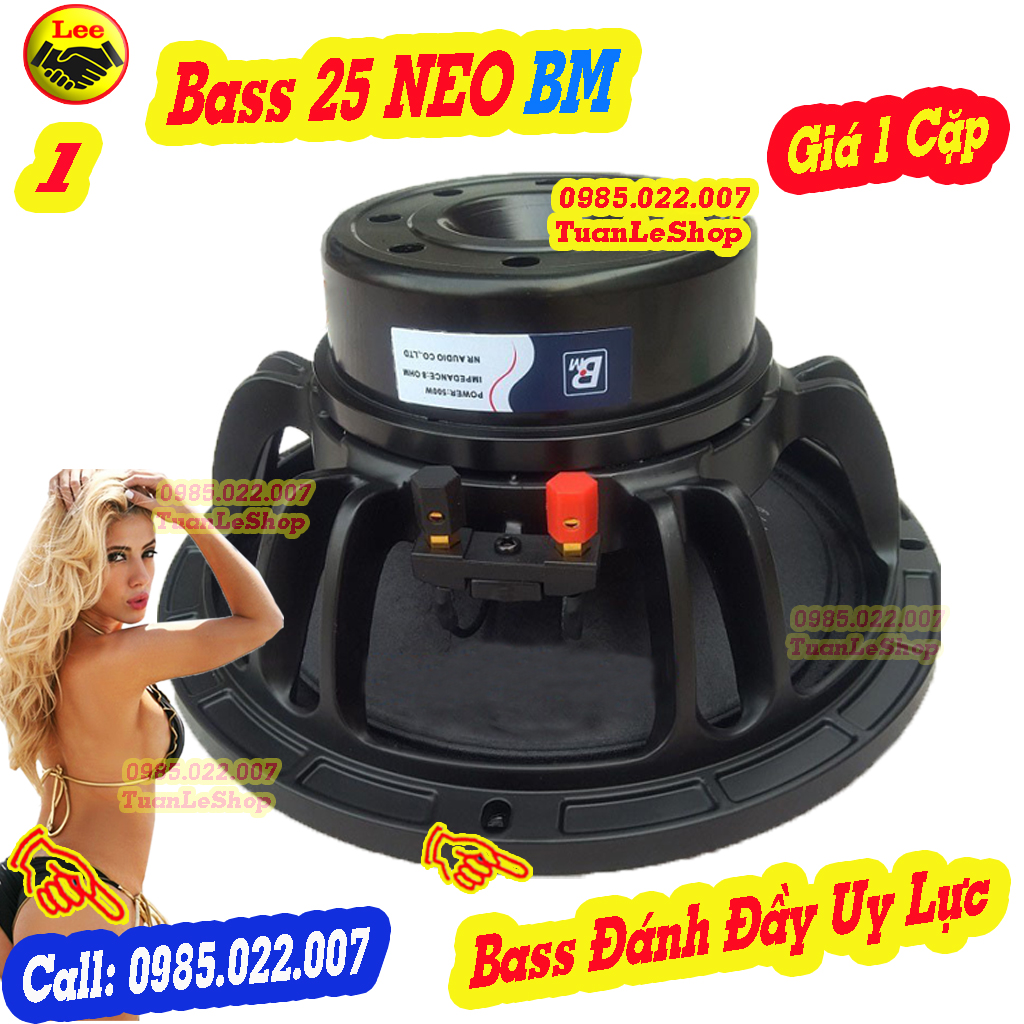 BASS 25 BM NEO 120MM COIL 76 HÀNG NHẬP KHẨU CAO CẤP - LOA BASS 2.5 TẤC - GIÁ 2 CHIẾC
