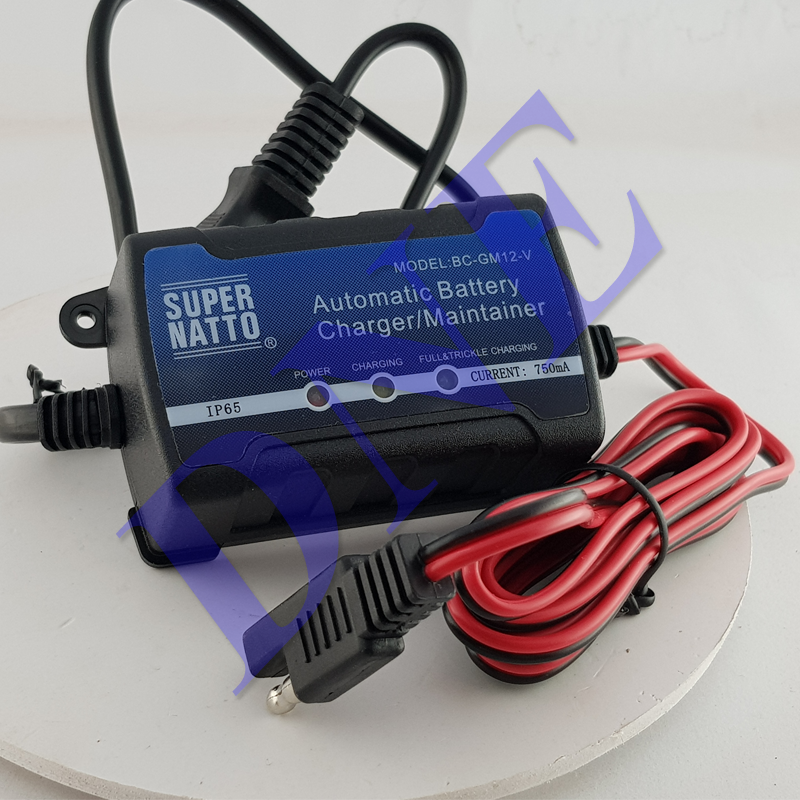 Bộ sạc Ắc quy Harley Davidson 48, Ducaiti, BMW, forty eight Battery charge