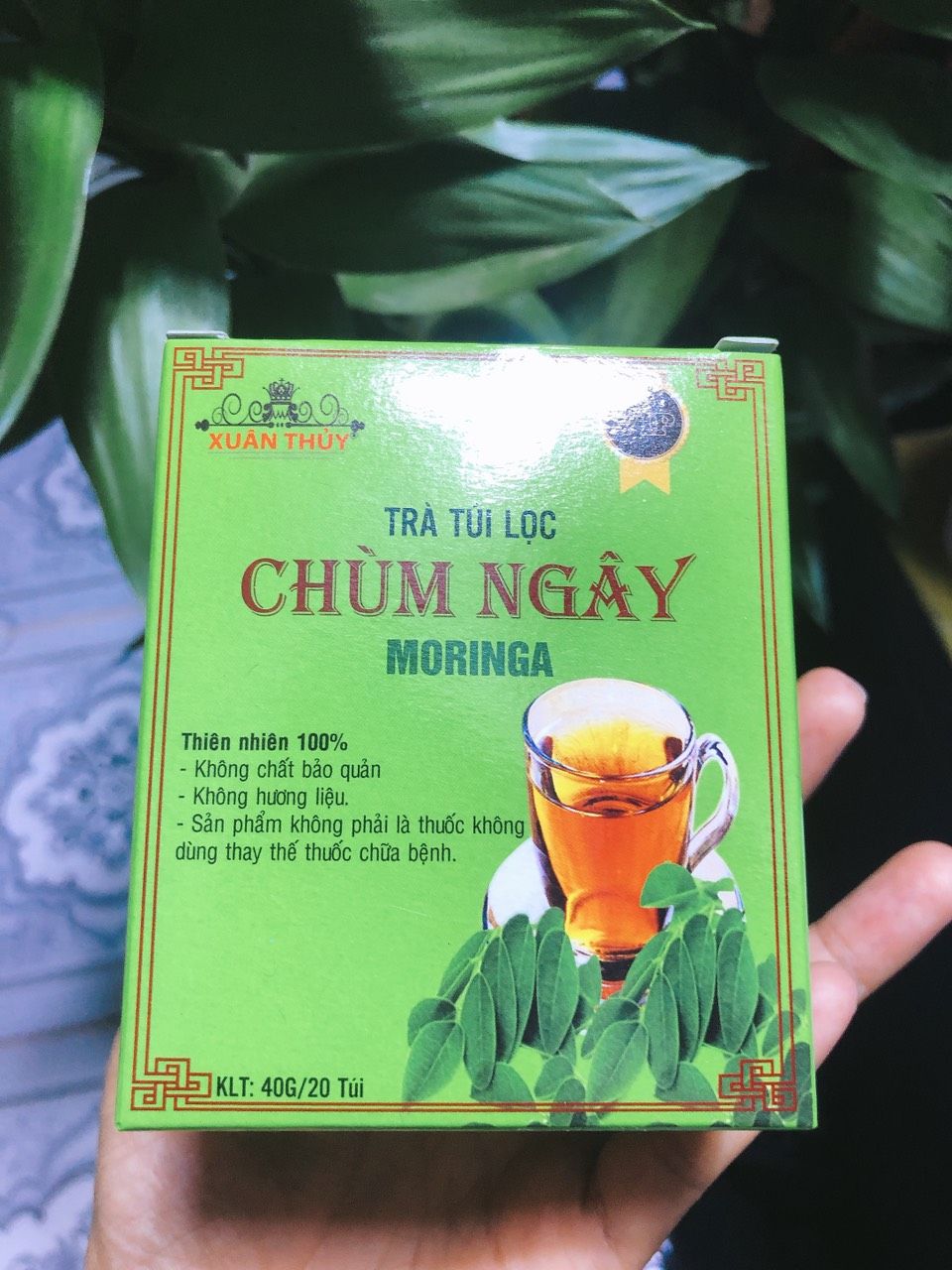 Trà túi lọc chùm ngây moringa