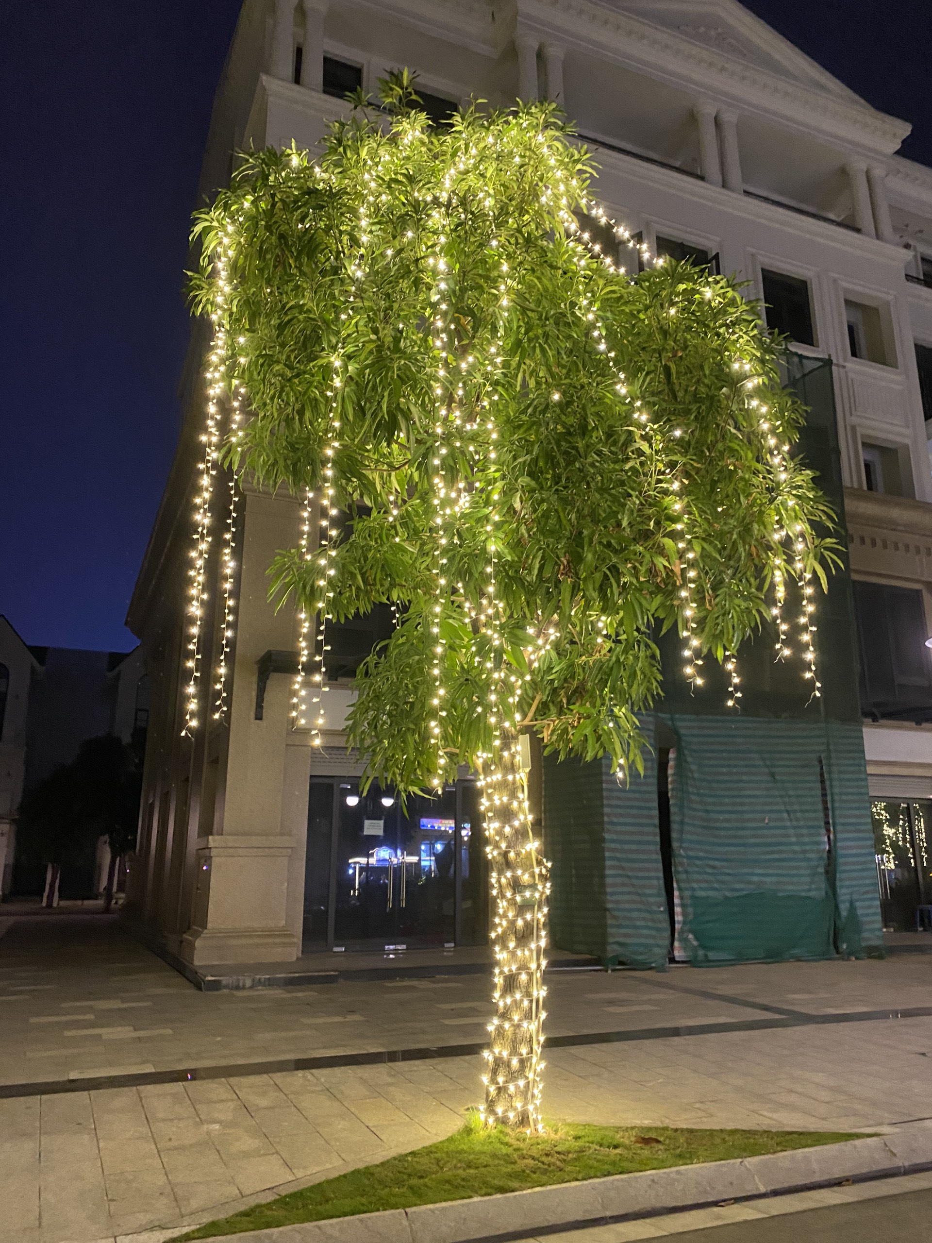 Led Quấn Cây Led Thả Mành Chống Nước Chuyên Dụng Trang Trí Ngoài Trời LED Đúc F5 8mm 12v - Chống Nước [ Dây 50 Bóng ]