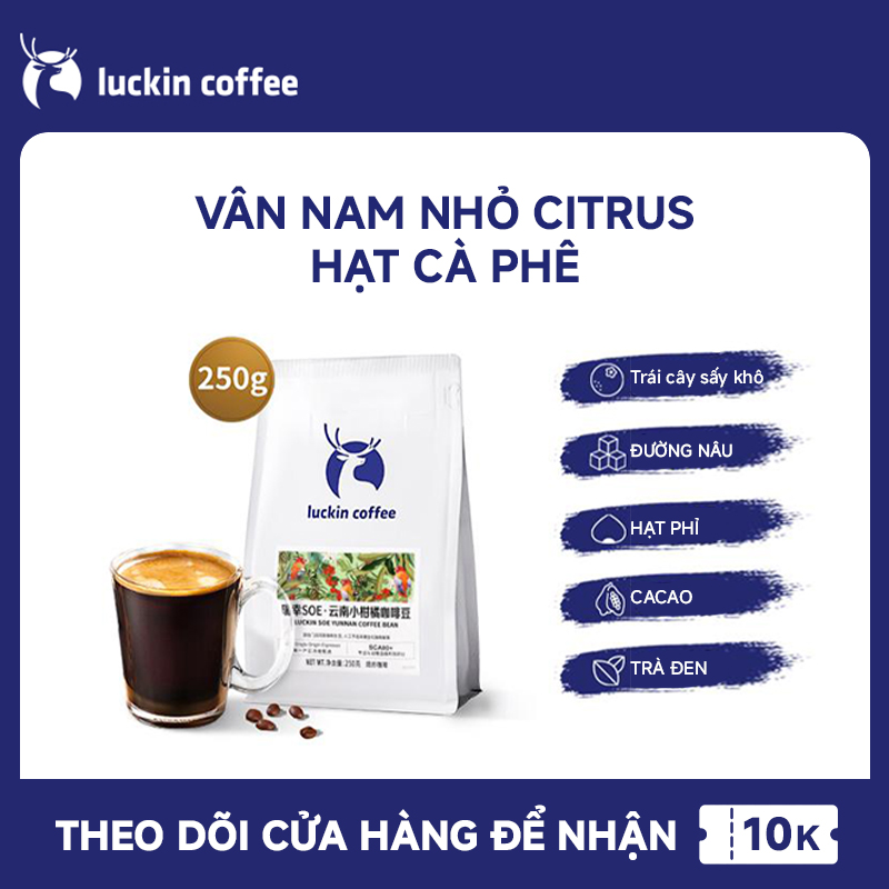 Luckin coffee Two flavors of SOE coffee beans selected coffee beans moderately roasted 250g pack
