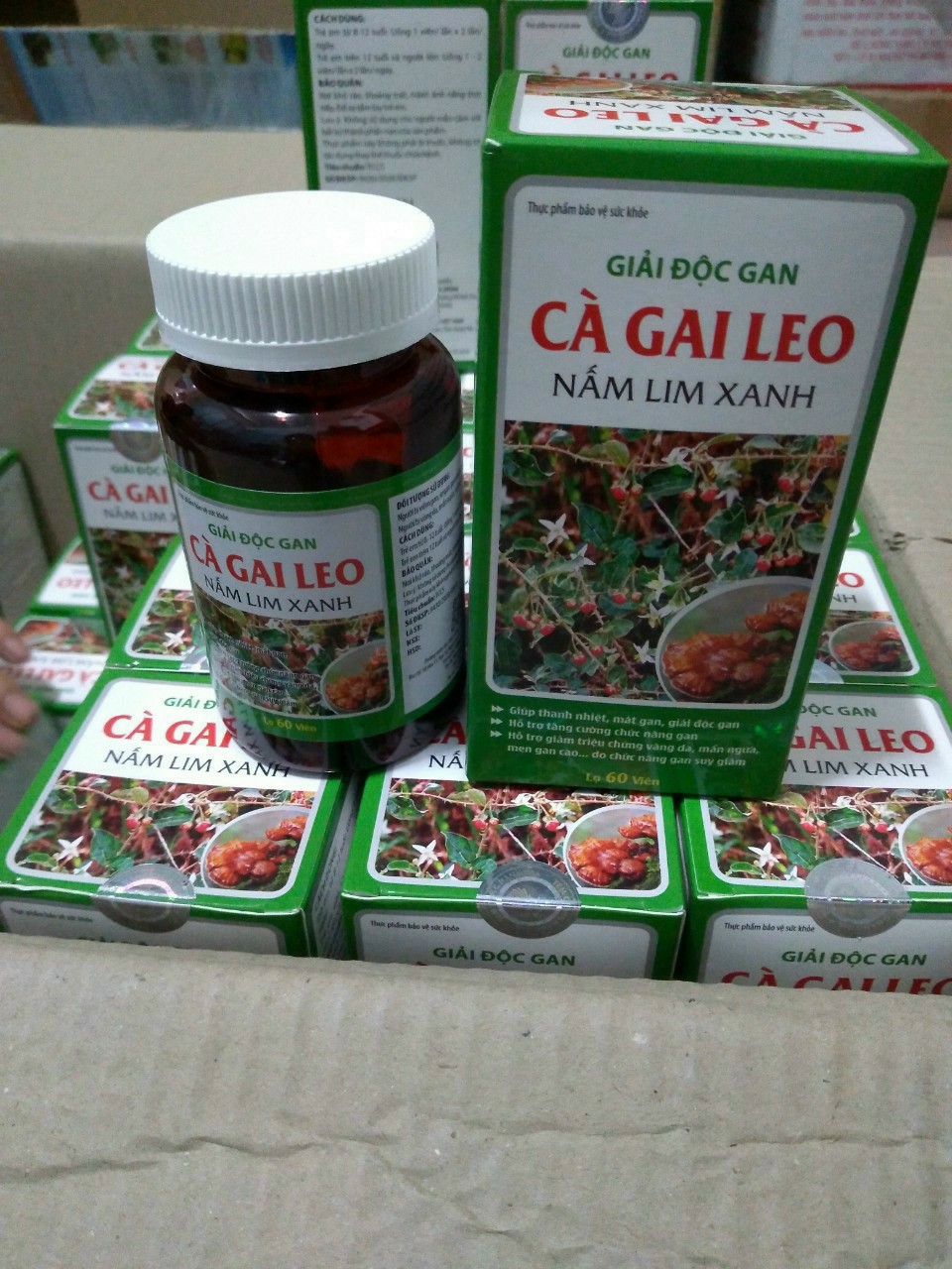 Cà gai leo nấm lim xanh lọ 60 viên
