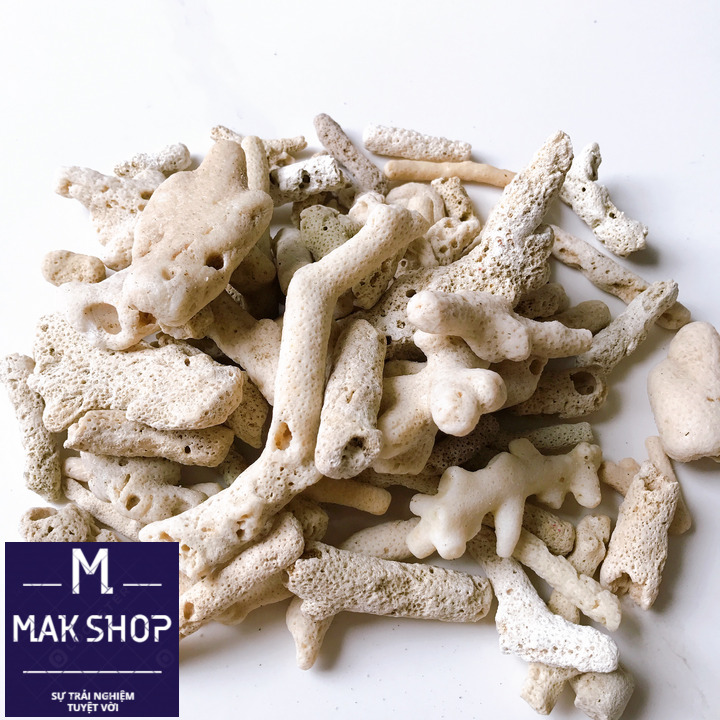 [Vật Liệu Lọc] 1kg San Hô Vụn, Trang Trí, Lọc Nước, Tăng Ph, Không Lo Âu Chất thải cá làm tụt Ph nhé