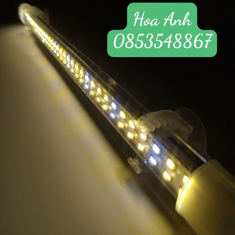 Đèn led kaokui 2 hàng bóng, hồ 60cm/80cm/100cm/120 chuyên dụng cho cá rồng
