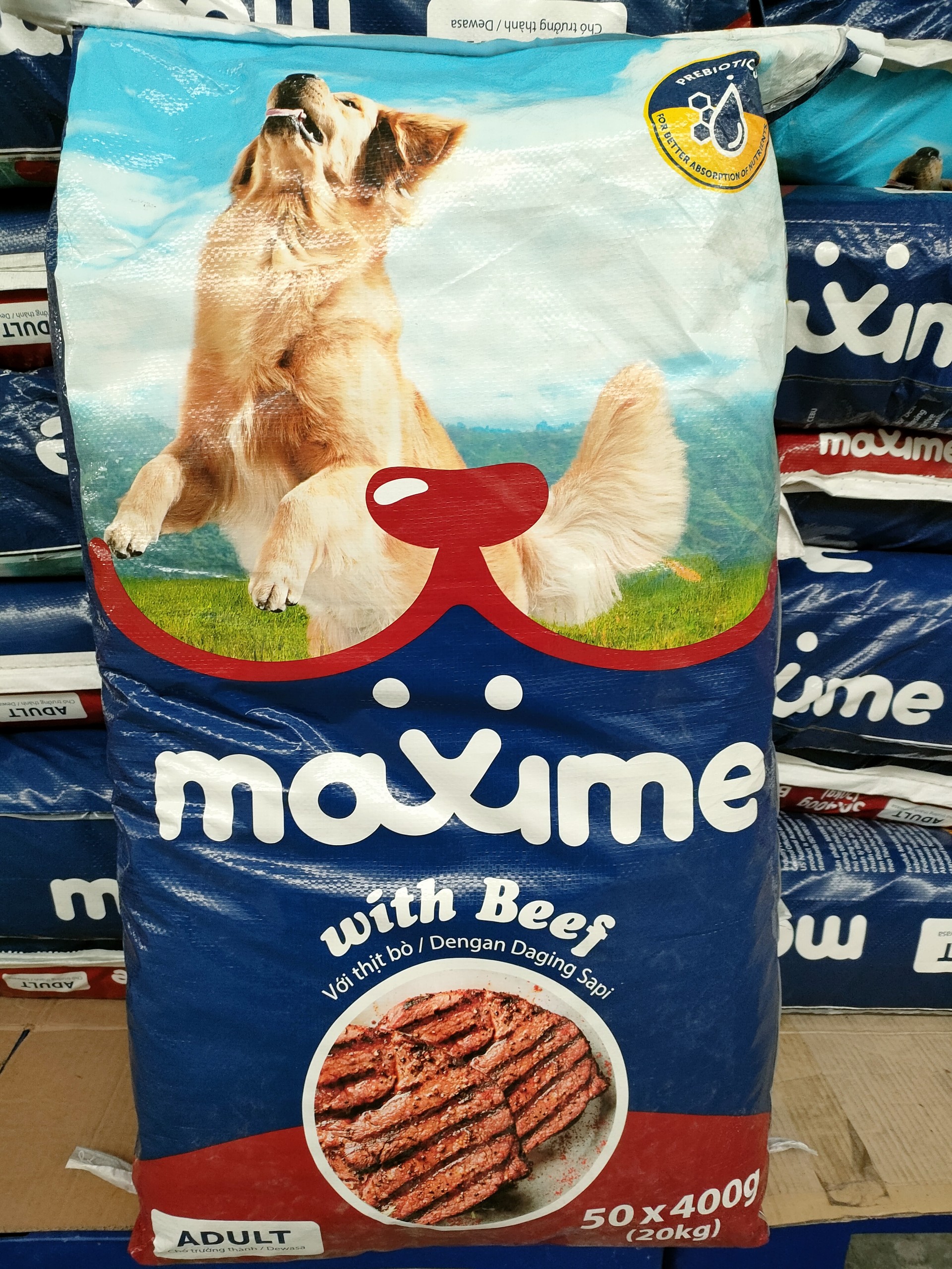 Thức ăn chó lớn vị thịt bò maxime 400gam - yeuthucung
