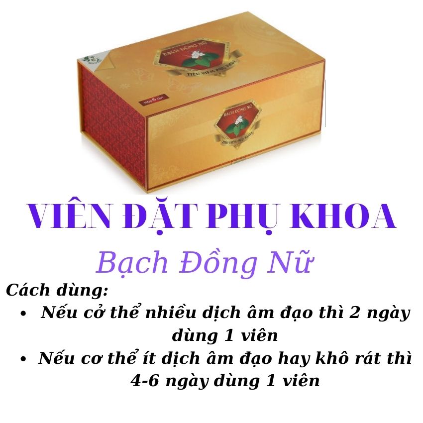 Viên đặt phụ khoa Bạch Đồng Nữ hộp 6 viên Se khít vùng kín, tiêu viêm, làm hồng, làm sạch, viêm phụ khoa, viêm lộ tuyến