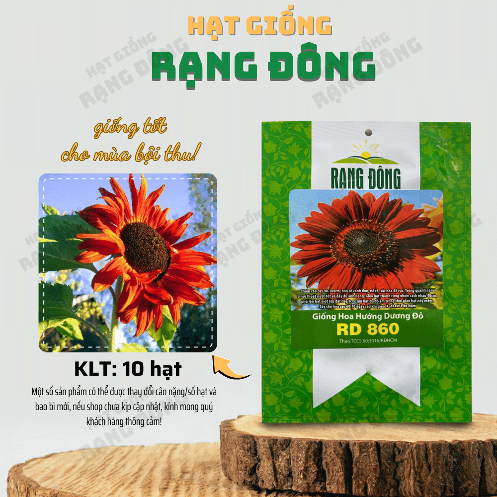 Hạt giống Hoa Hướng Dương Đỏ Rd 860 thân cao, trồng chậu hoặc cắt cành, quanh năm - Hạt giống Rạng Đông