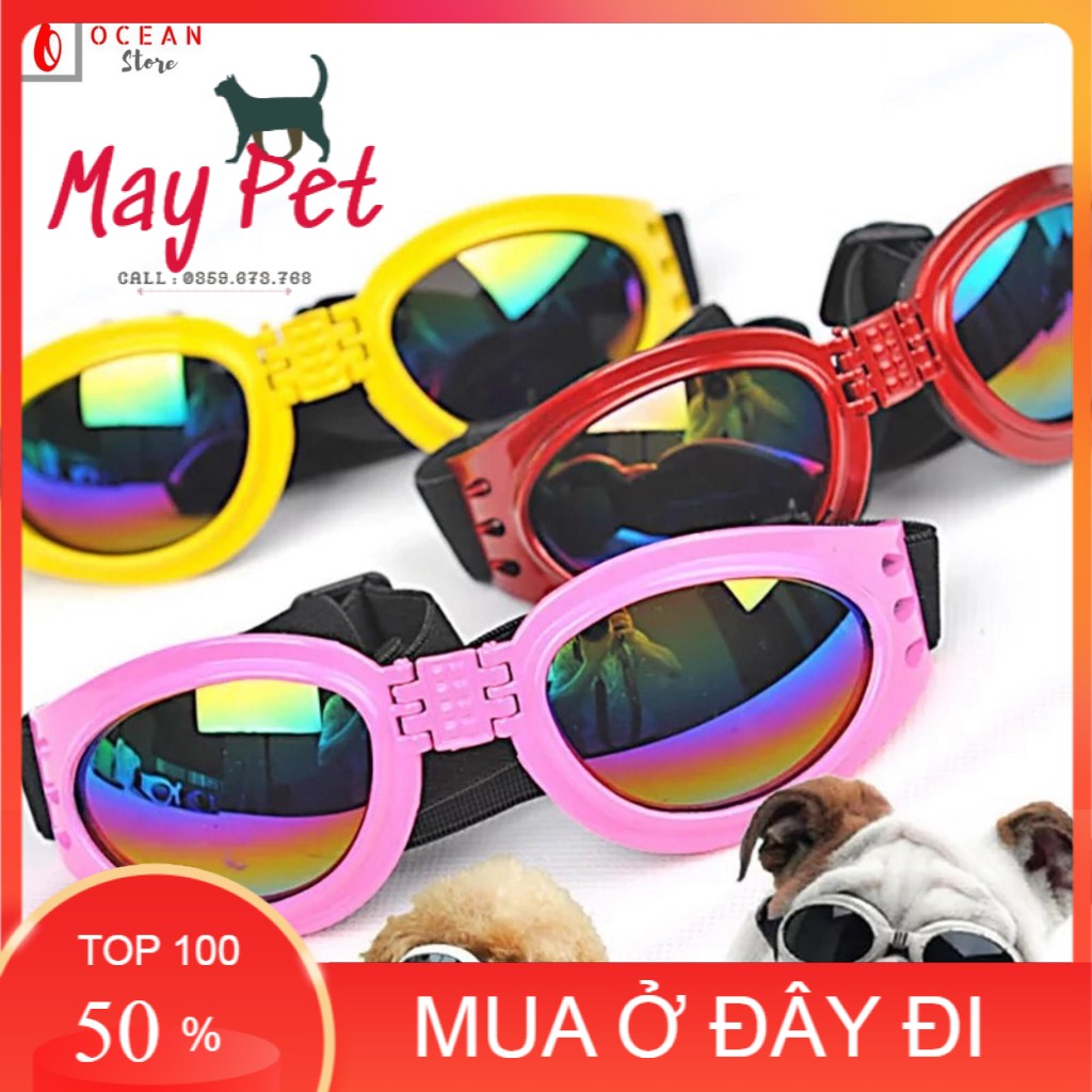 Mắt kính thời trang dành cho chó - Phụ kiện thú cưng Kính-MayPet