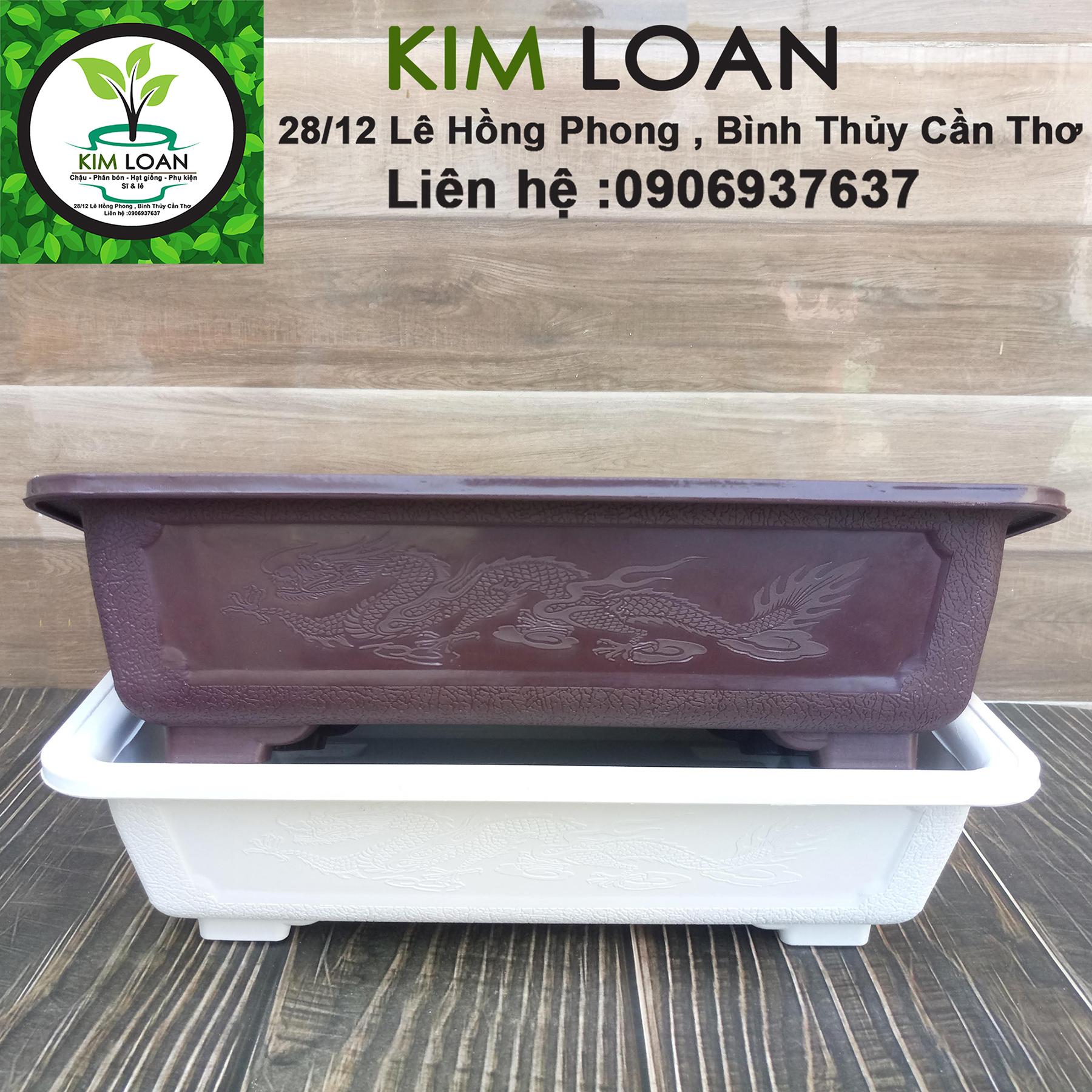 Combo 2 chậu nhựa bonsai chữ nhật 30x20x8cm