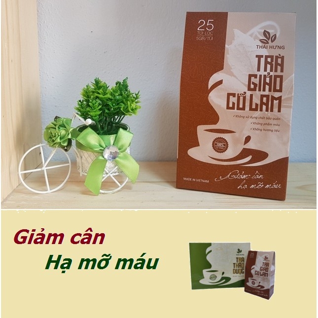 1 bịch 25 túi lọc trà giảo cổ lam giảm cân, giảm mỡ máu Công ty Thái Hưng