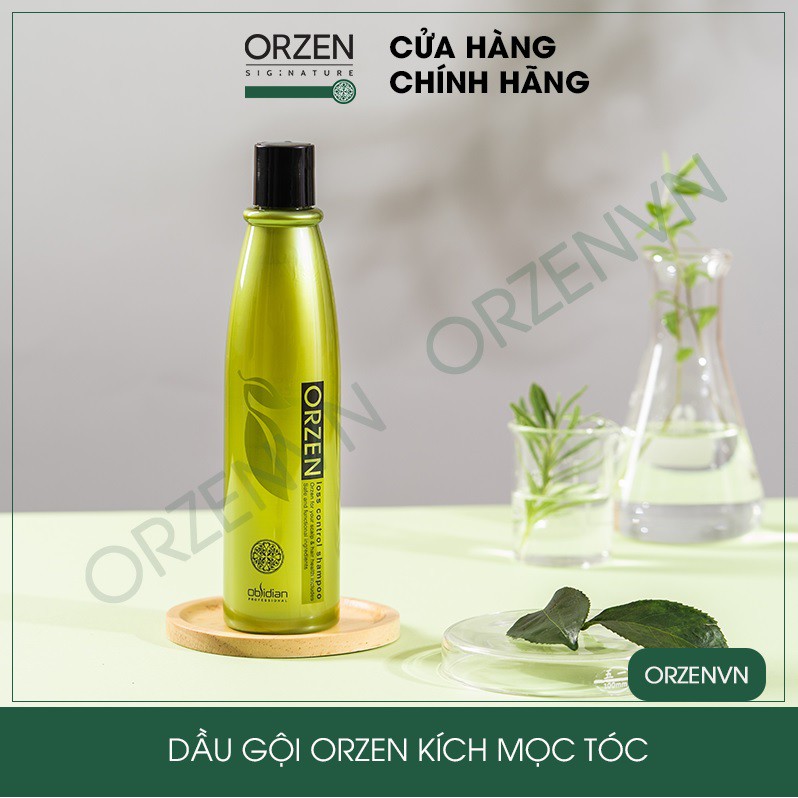 Dầu gội Orzen kích mọc tóc nhanh Loss Control Shampoo Hàn Quốc 320ml
