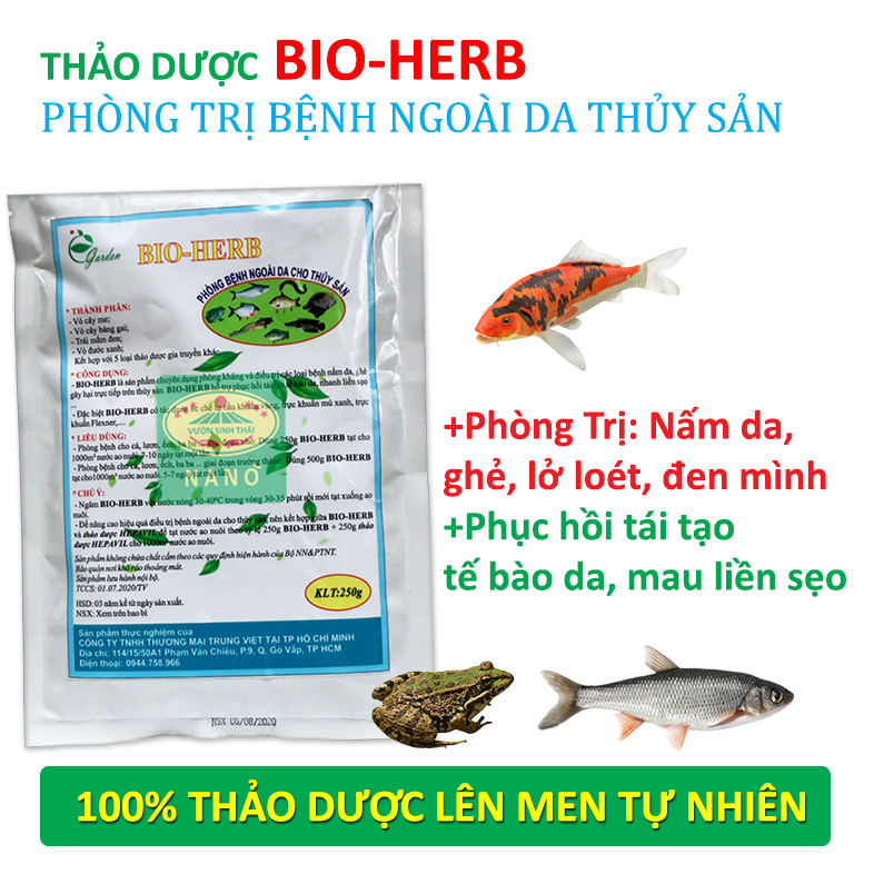 Chế phẩm sinh học Thảo Dược xử lý bệnh Nấm ghẻ lở trên Cá Koi, Ếch, Lươn. Tái tạo phục hồi da, nhanh liền sẹo. 100% chiết xuất lên men tự nhiên