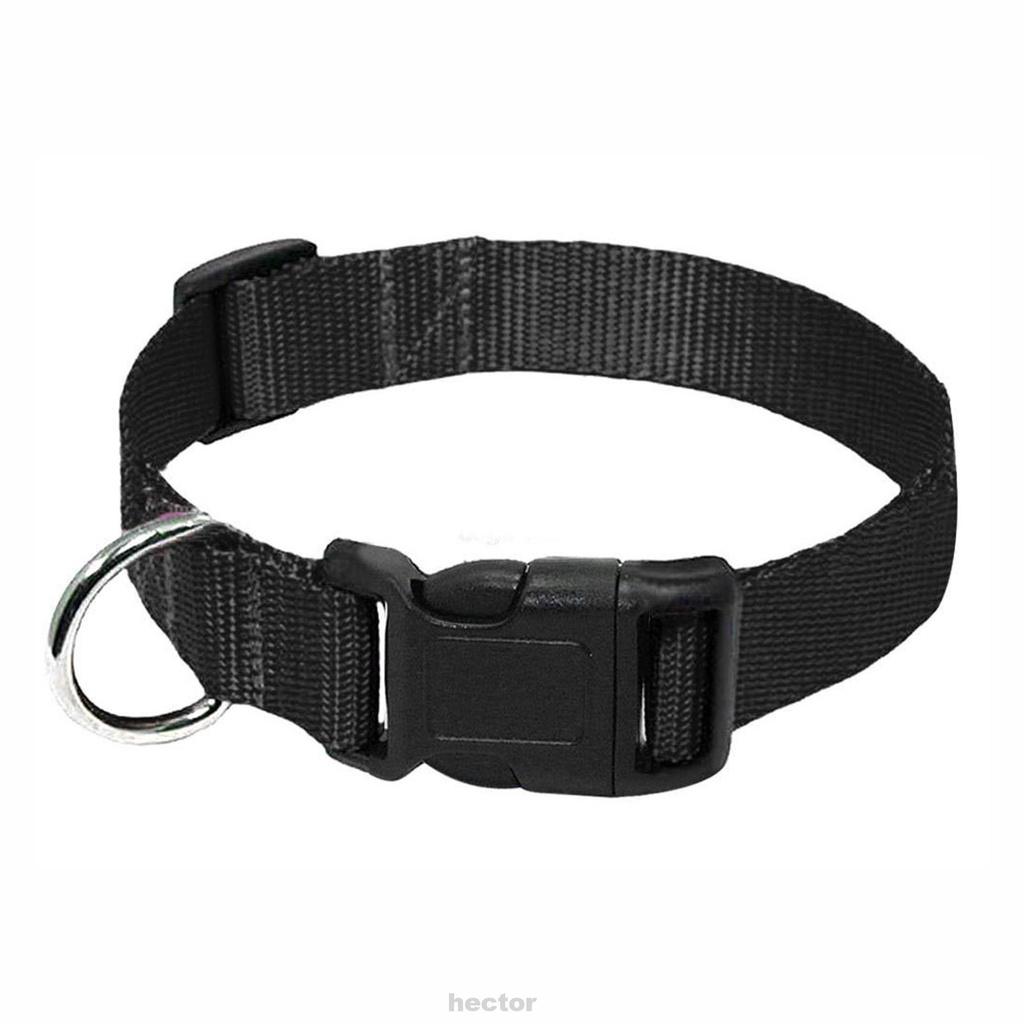 Vòng đeo cổ bằng nylon có thể điều chỉnh độ dài cho thú cưng