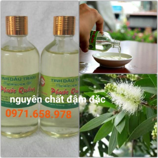 Tinh dầu tràm Huế nguyên chất đặc biệt 50ml Phước Quảng
