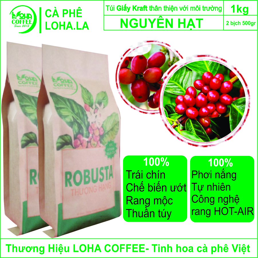 1kg cà phê hạt rang mộc loha coffee - 100% robusta thượng hạng - chọn trái chín - phù hợp pha phin và pha máy - cafe hạt rang mộc - cà phê robusta