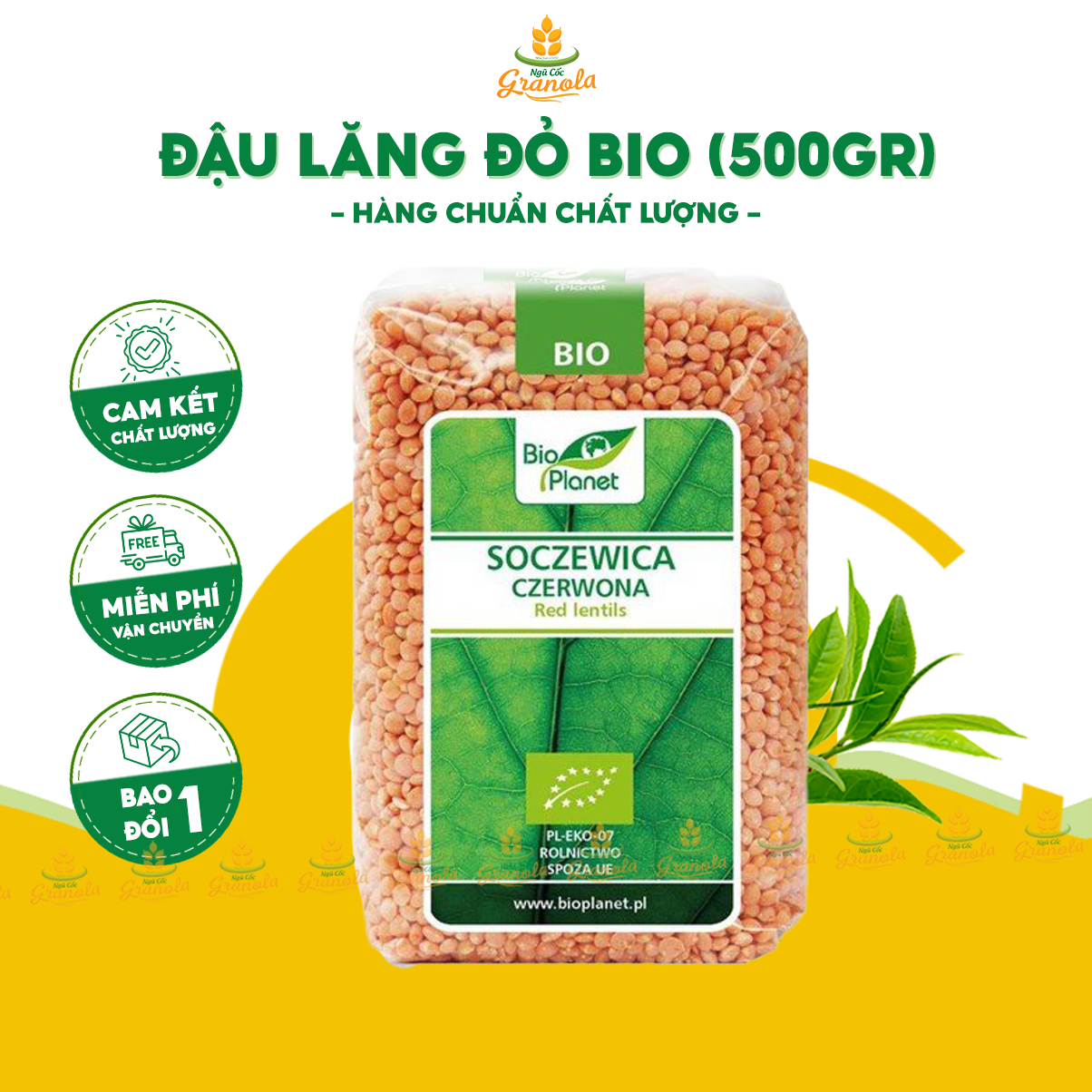 [MỚI] Đậu Lăng Đỏ Hữu Cơ Bio Planet Hữu Cơ (GÓI 500G) - Dinh Dưỡng Cho Bé Ăn Dặm/ Nấu Sữa/ Ăn Chay (Hạt Ngon)