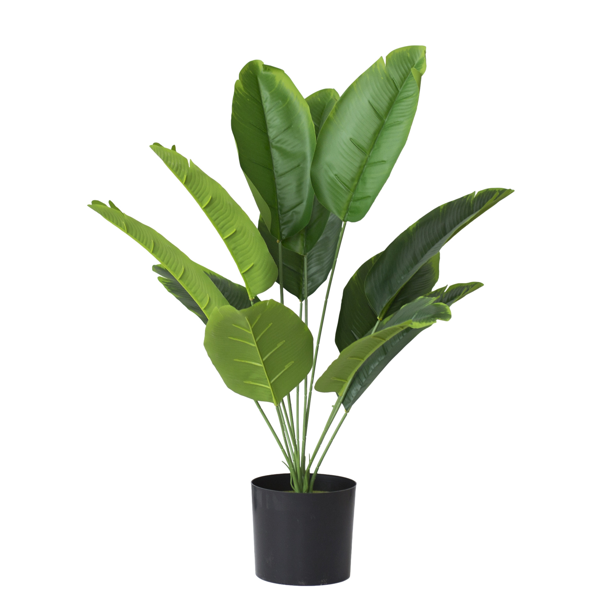 Cây lá dong riềng nhựa đẹp như thật 12 nhánh lá cao 65cm hay còn gọi là cây chuối cảnh giả