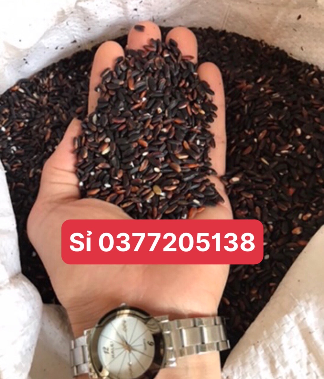 Gạo cẩm nếp nương biên