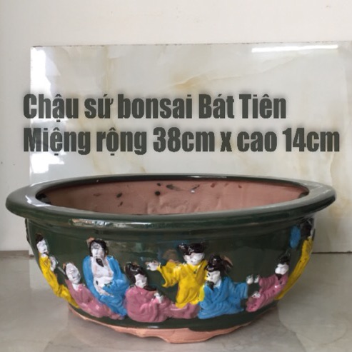 Chậu Sứ bonsai hình bát tiên
