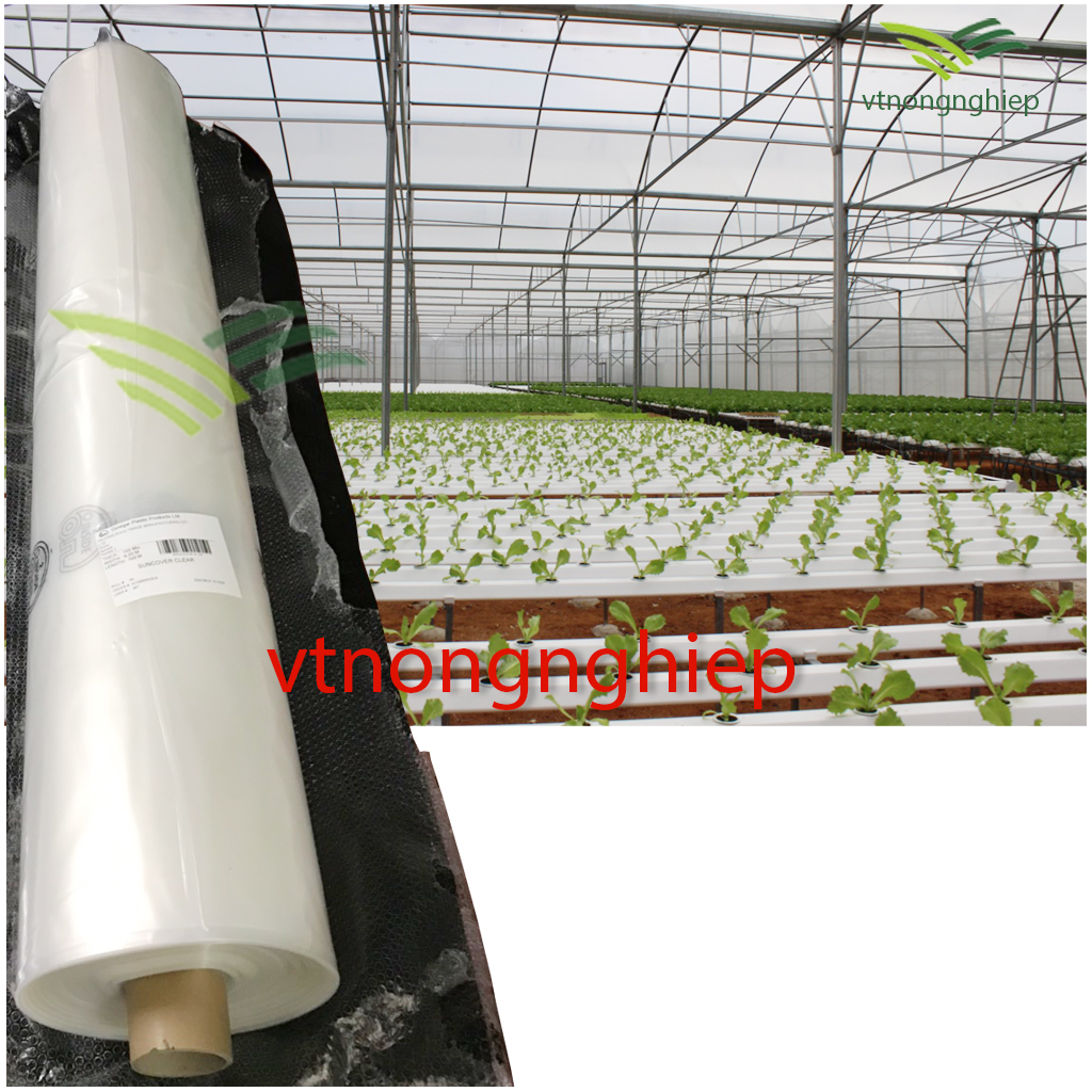 1m Màng nhà kính Ginegar-Israel, rộng 6m, 5 lớp film, độ bền 5-8 năm, chuyên dùng trồng dưa lưới, rau sạch, hoa lan