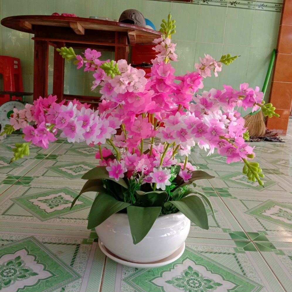 Combo làm chậu hoa lan để bàn, chưa kèm chậu 0907519890