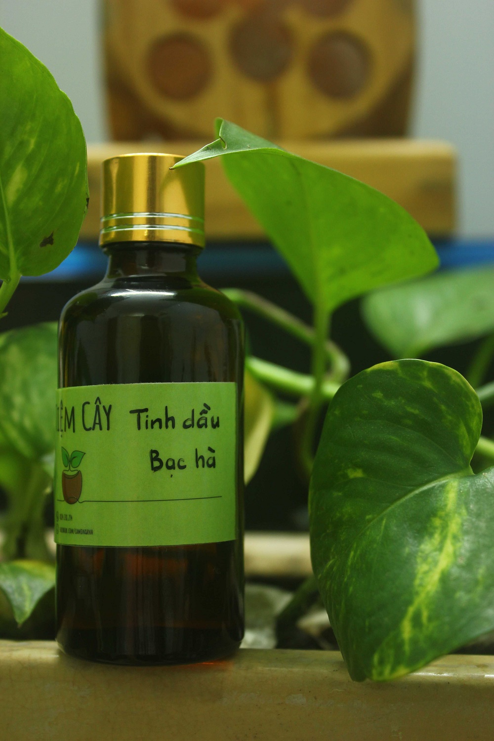 Tinh dầu Bạc Hà xông hương mát lạnh - chai 10ml