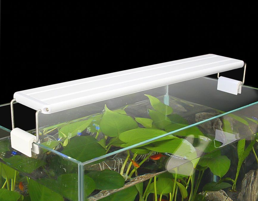 Đèn led máng bể cá