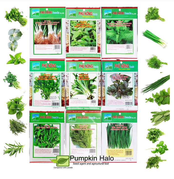 COMBO 9 GÓI- HẠT GIỐNG RAU GIA VỊ HÀNG CÔNG TY CHẤT LƯỢNG CAO