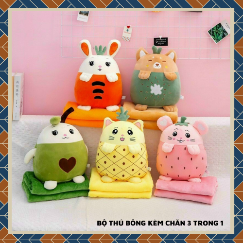 [HCM][Ở Đây Giá Rẻ] Gấu Bông Kèm Mền - Bộ Chăn Gối Kèm Mền 3 Trong 1