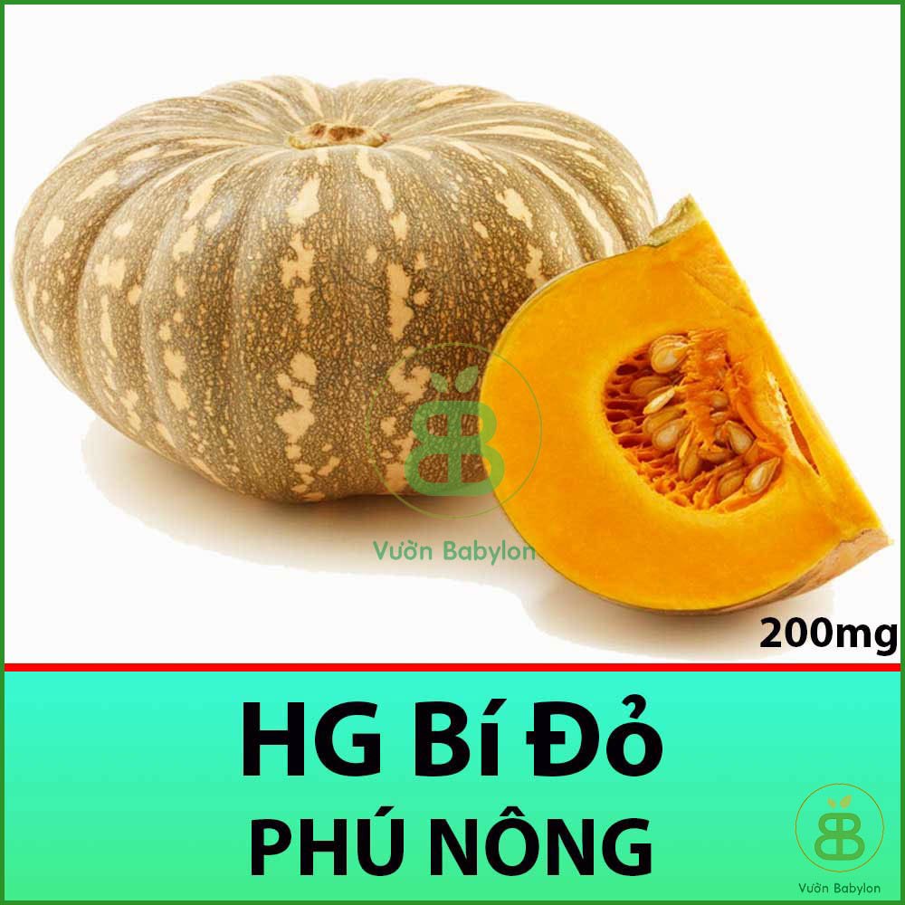 Gói 2GR Hạt Giống Bí Đỏ Siêu Ngọt, Giàu Dinh Dưỡng