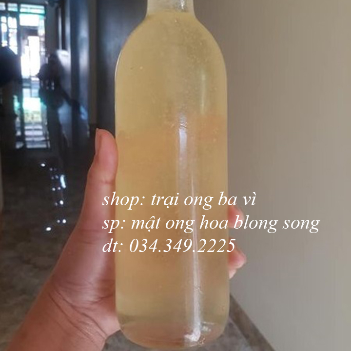 Mật ong trắng hoa blong song nguyên chất 100%
