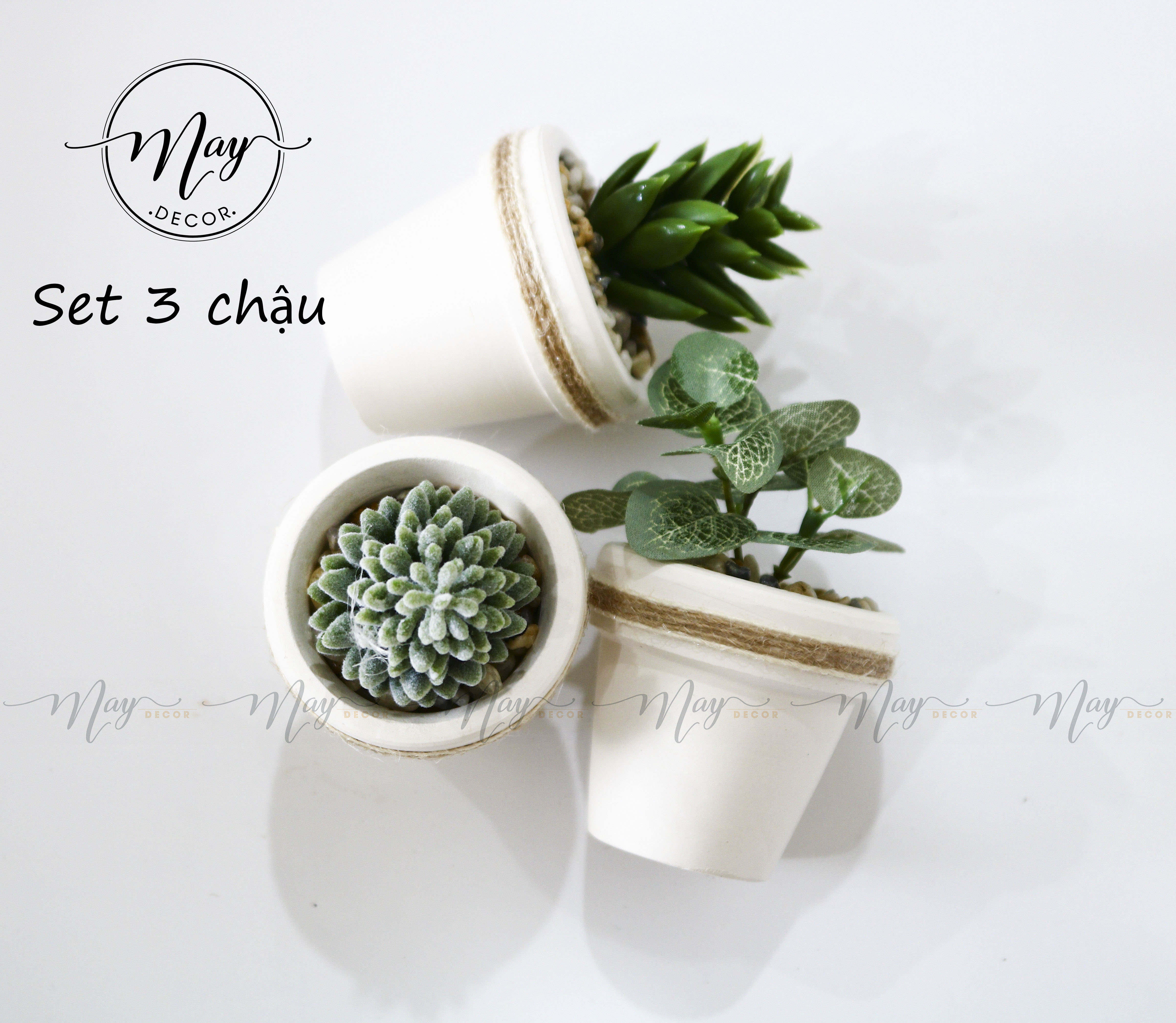 Cây giả - Chậu cây mini size 5cm - trang trí, chụp ảnh, quà tặng ý nghĩa