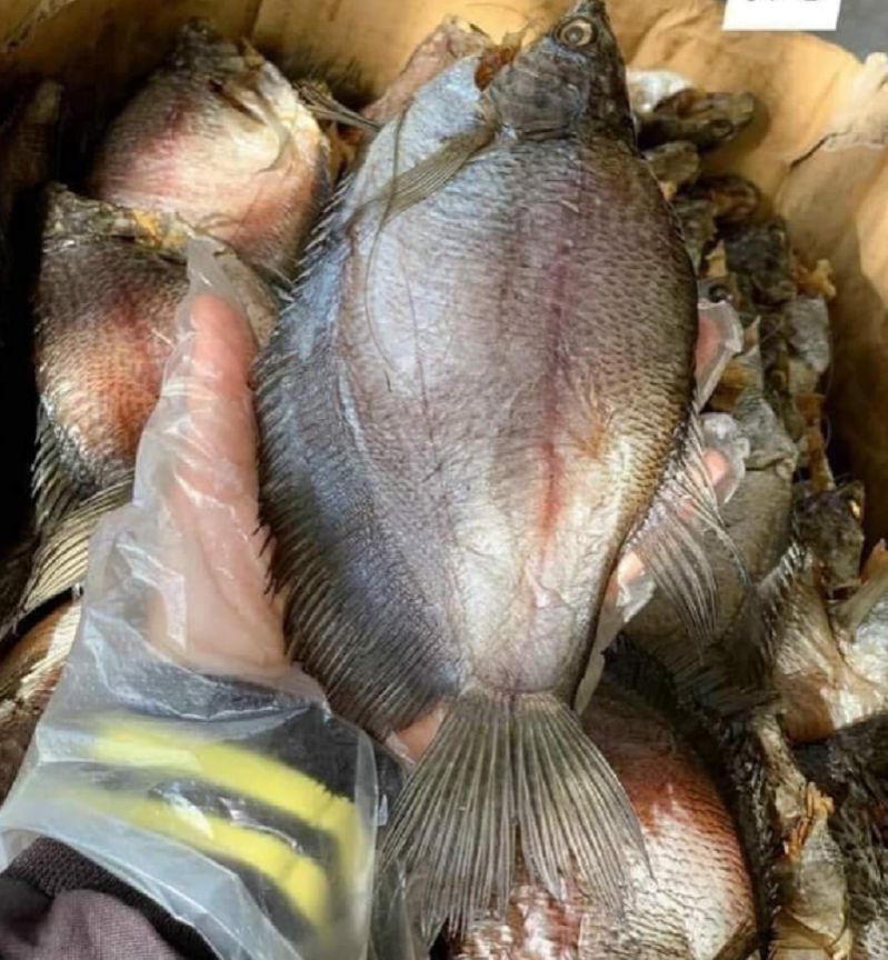 Khô cá sặc bổi loại lạt - vựa khô tú sương - khô cá sặc rằn u minh cà mau