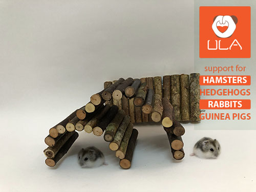 Cầu thang uống cong bằng gỗ tự nhiên, trang trí chuồng hamsters, thỏ,bọ ú...