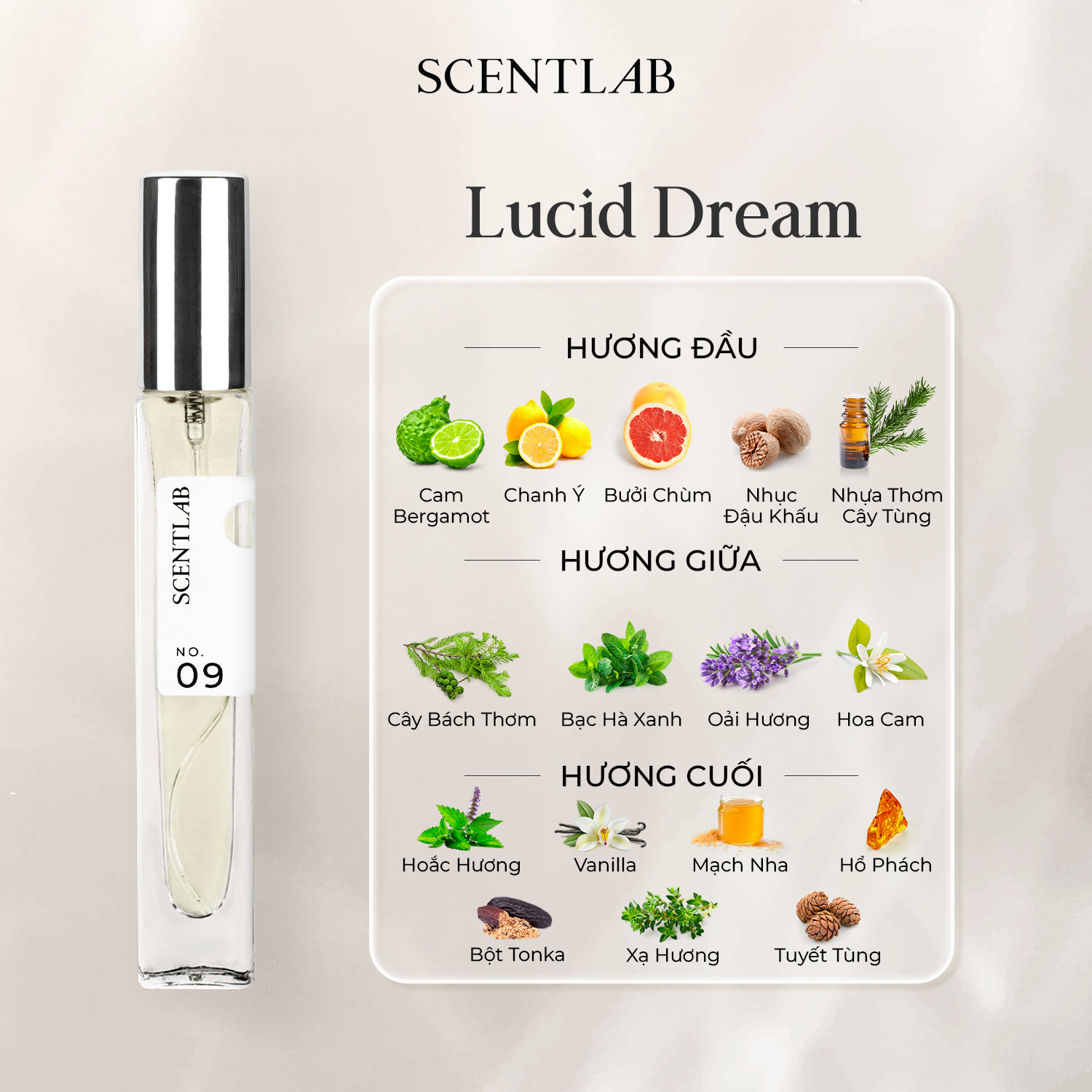 Nước hoa nữ scentlab no.09 lucid dream 10ml đằm thắm, quý phái