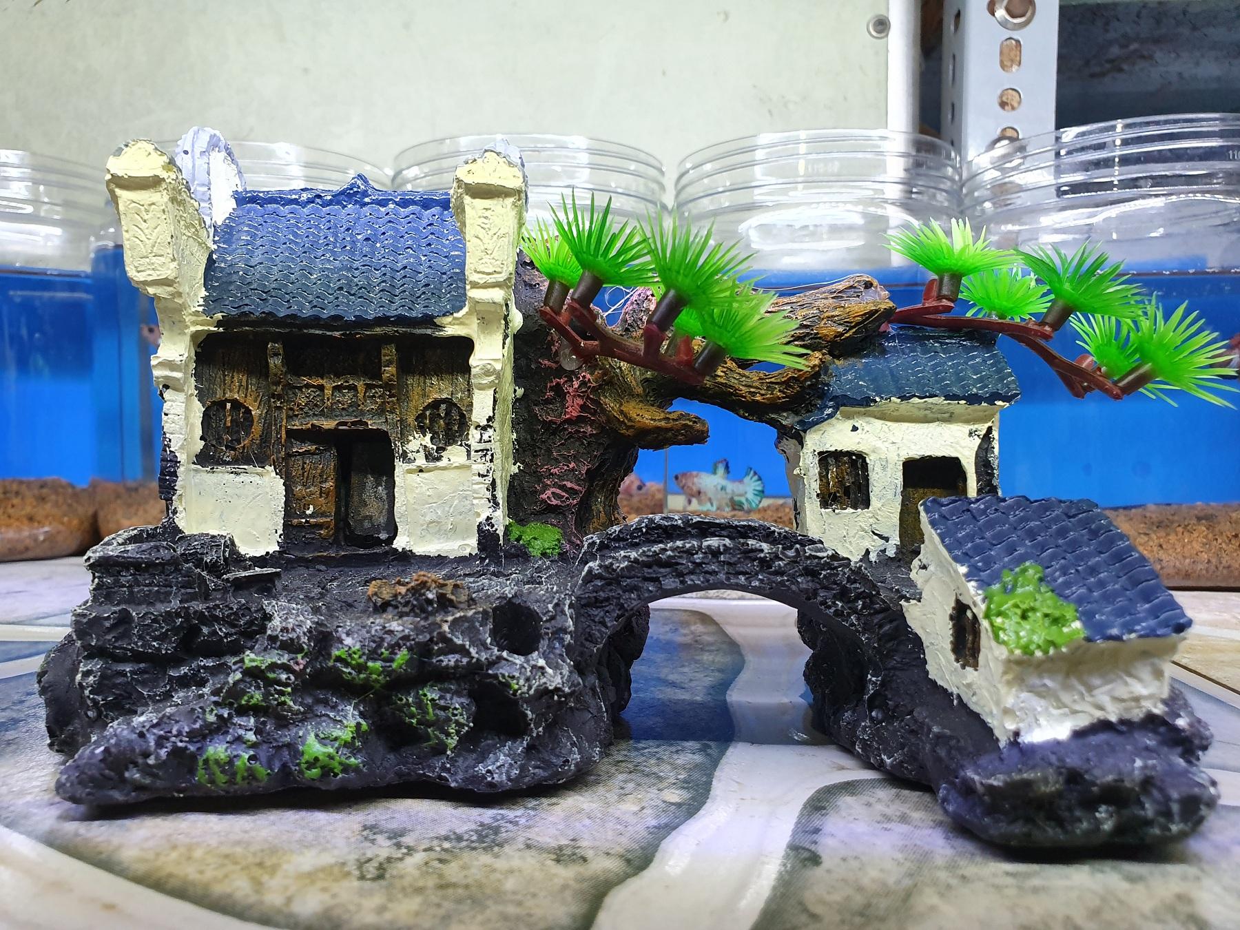 "hoàn tiền đến 10%" cảnh trang trí hồ cá non bộ 18x9x12cm