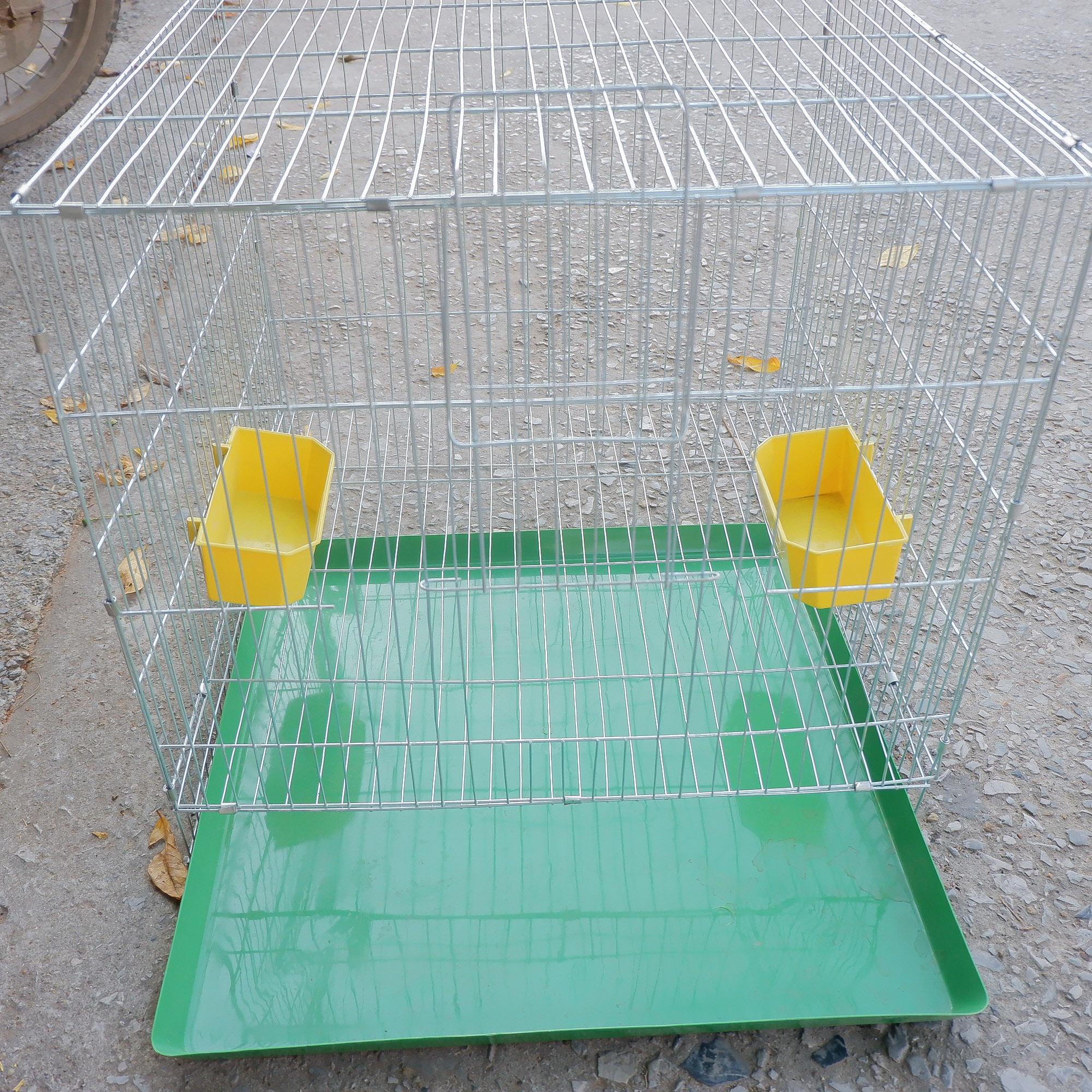 Lồng nuôi chim bồ câu không phụ kiện 60 x50 cm