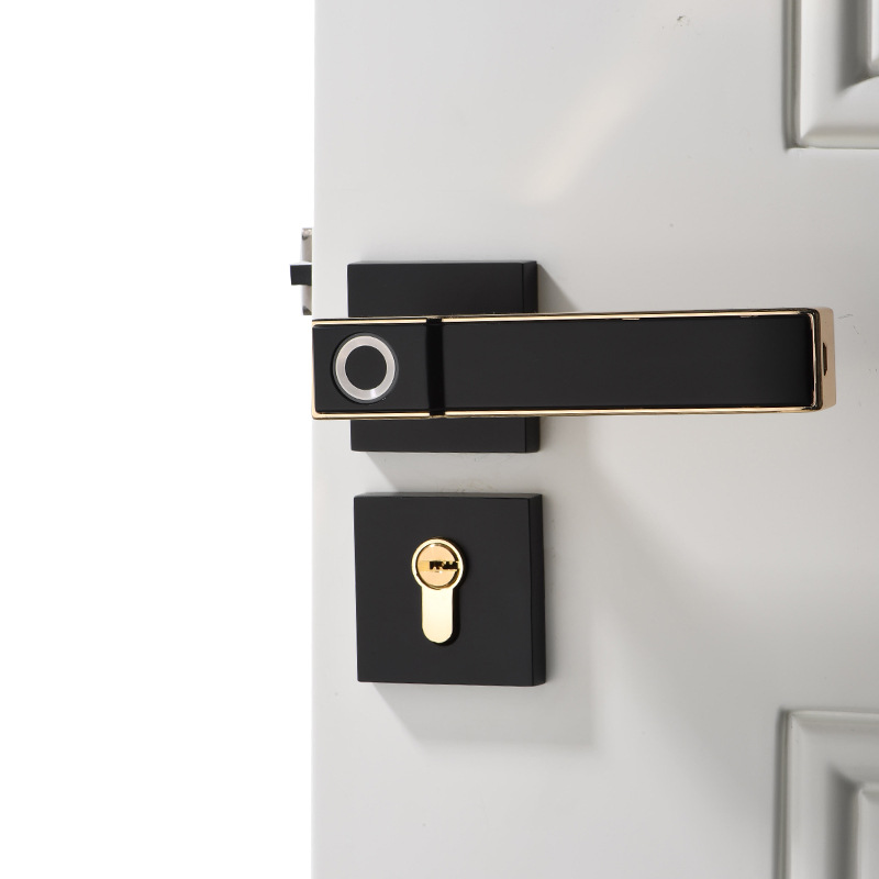 Khóa vân tay mẫu mới 2020, khóa cửa vân tay sang trọng tinh tế, khóa cửa phòng, phù hợp mọi loại cửa, bảo hành 12 tháng