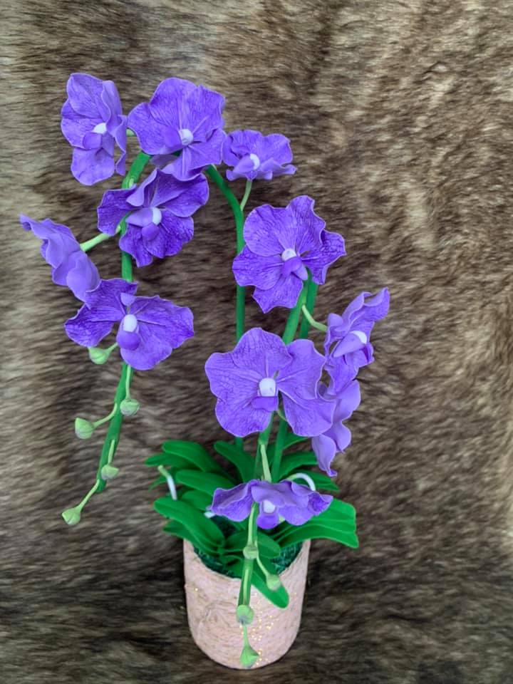 Chậu hoa lan Vanda đất sét size trung