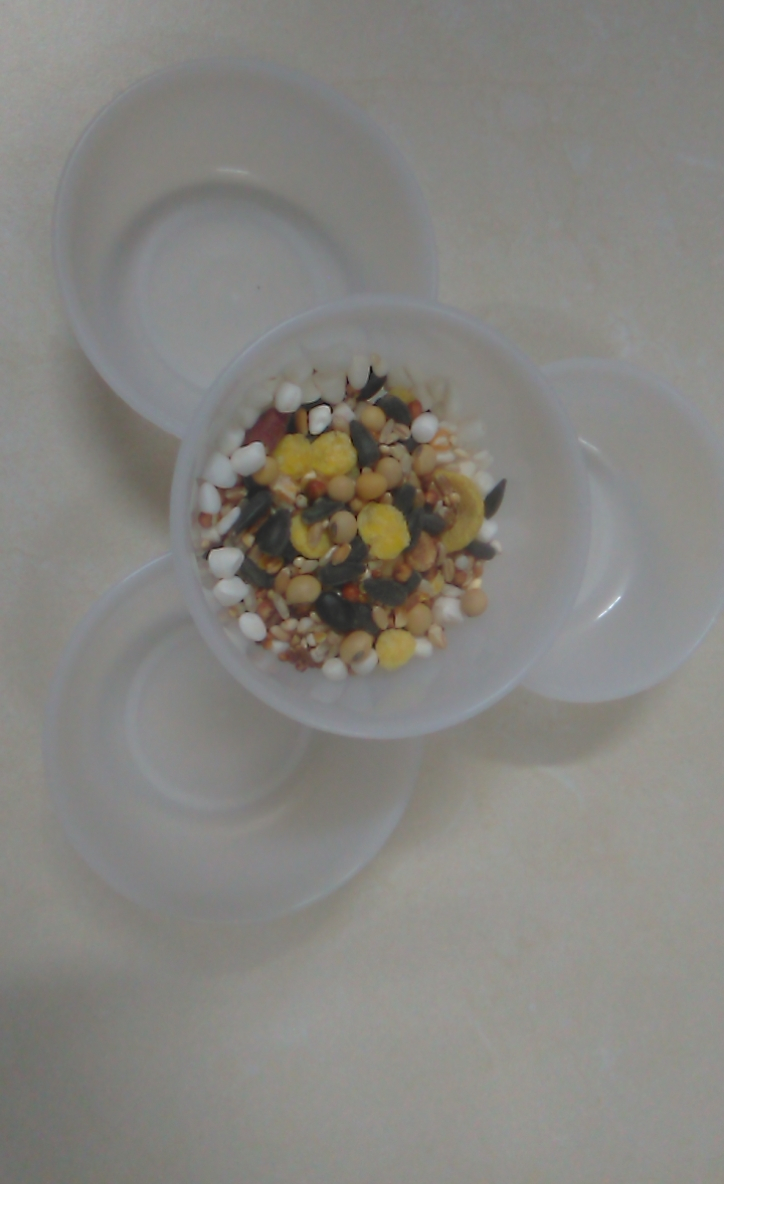 Bát nhựa đựng thức ăn cho hamster