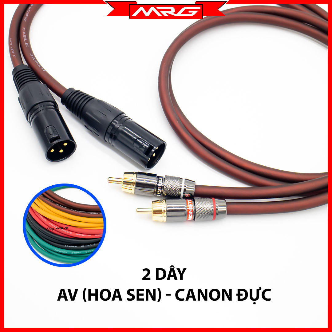  Cặp Dây Canon Đực Ra AV Hoa Sen dài 0.5m-1m-2m-3m-5m-8m-10m  RCA To XLR Male  DJ6 | dây av hoa sen ra canon đực dây canon ra av dây canon ra hoa sen. 
