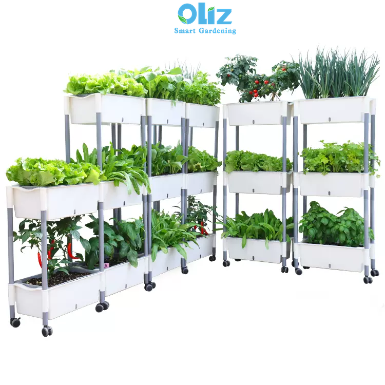 Chậu trồng rau thông minh Oliz D202 - Chậu trồng cây tự tưới