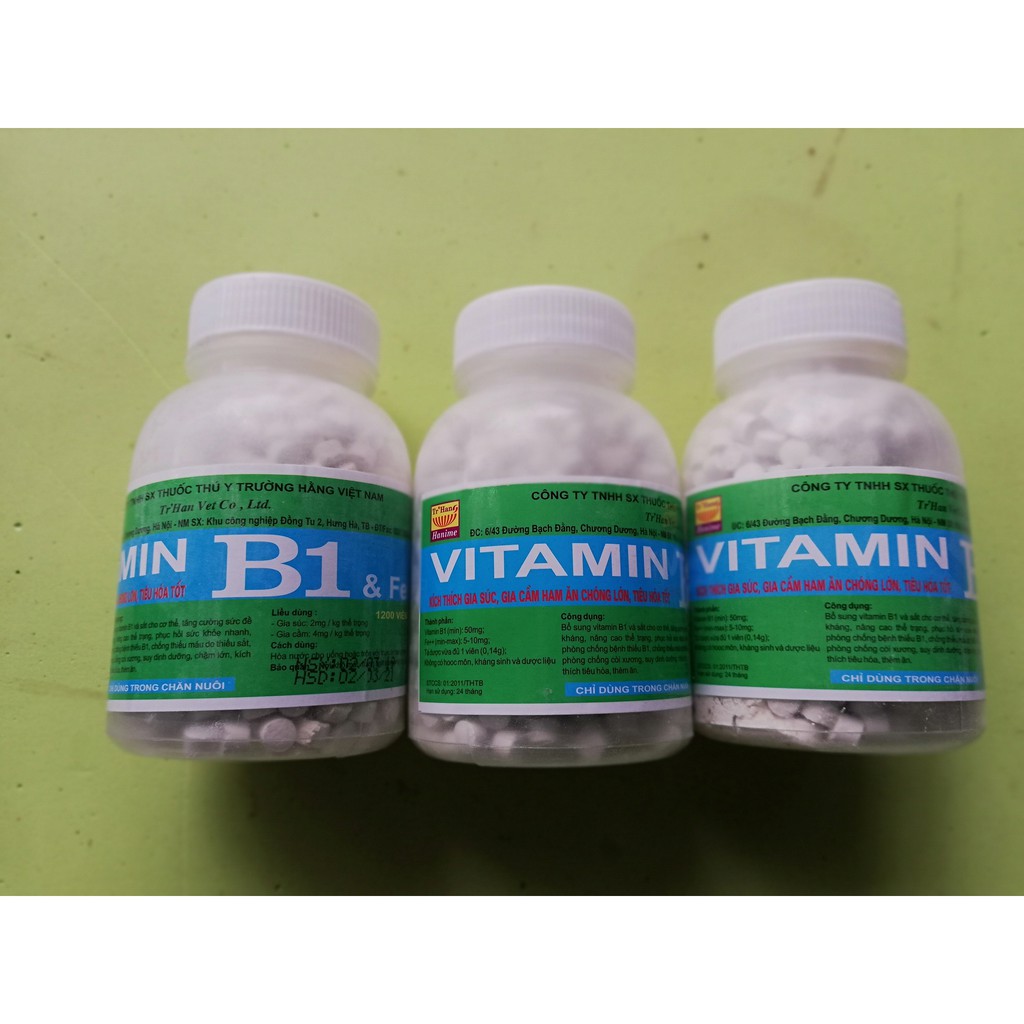 5 lọ VITAMIN B1 và Fe 1200 viên 200g KÍCH THÍCH GIA SÚC, GIA CẦM, CHÓ MÈO HAM ĂN CHÓNG LỚN, TIÊU HÓA TỐT