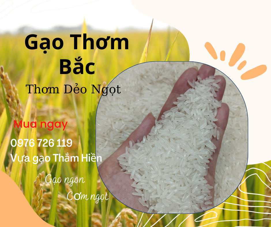 5kg gạo thơm bắc - gạo thơm mềm - gạo thơm dẻo ngọt